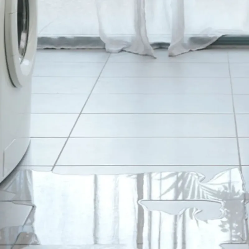 Appliance Leak Cleanup in Nocatee, FL